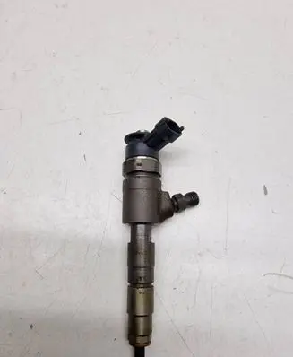Ford Transit - Tourneo Connect Fuel injector 0445110489 CV6Q9F593AA