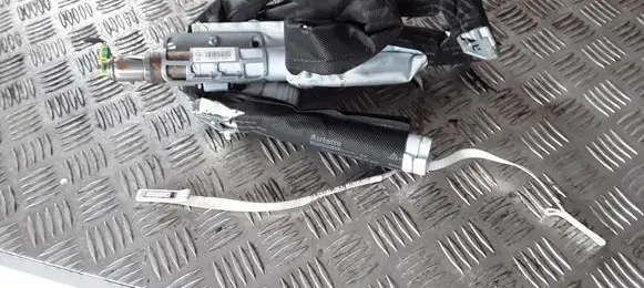 Renault Laguna III Roof airbag 985P10001R