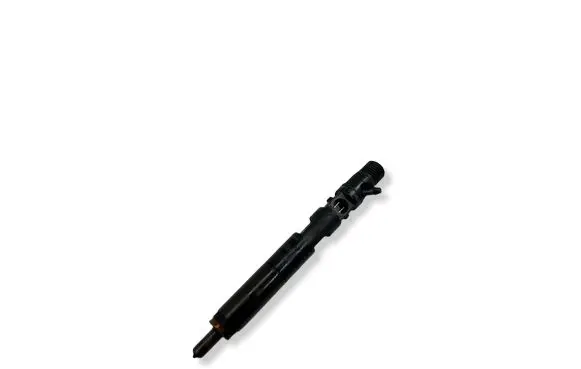 Renault Megane II Fuel injector EJBR03101D 8200421359