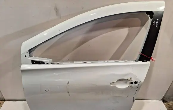 Renault Zoe Front door
