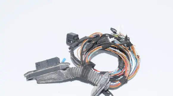 BMW X5 E70 Front door wiring loom