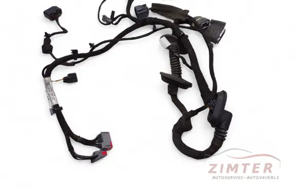 Other wiring loom