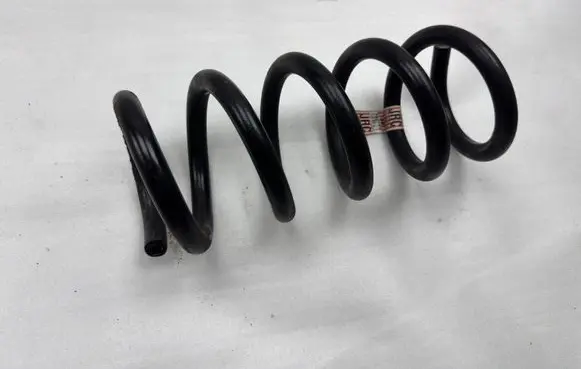 Ford Mustang VI Rear coil spring JR3C5560CA