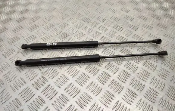 Dacia Sandero II Tailgate/trunk strut/damper 904529943R