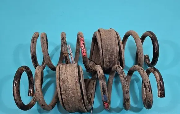 Rear coil spring