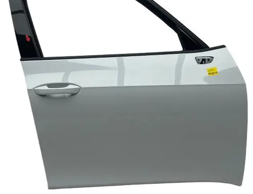 Cupra Born Front door 10A831055N LS9R