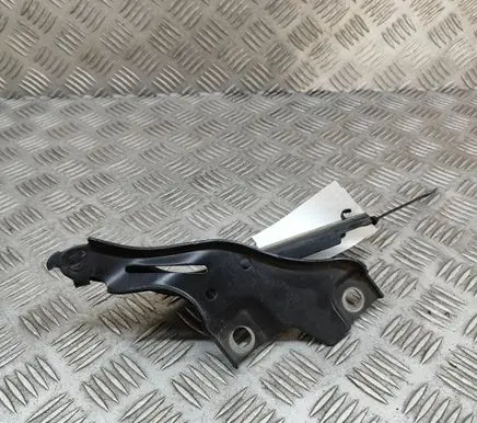 Volkswagen PASSAT B8 Engine bonnet/hood hinges 3G0823301