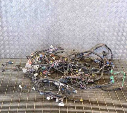 Tesla Model X Other wiring loom 103242960G