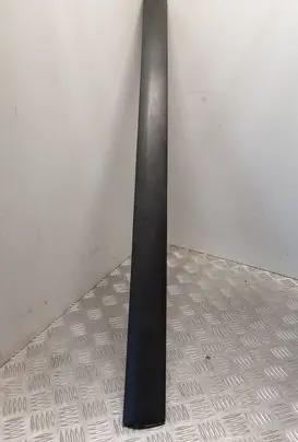 Front door trim (molding)