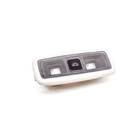 Ford Mustang Mach-E Front seat light LB5A13K767AD31Y1
