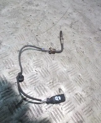 Audi Q7 4L Exhaust gas temperature sensor 301101084