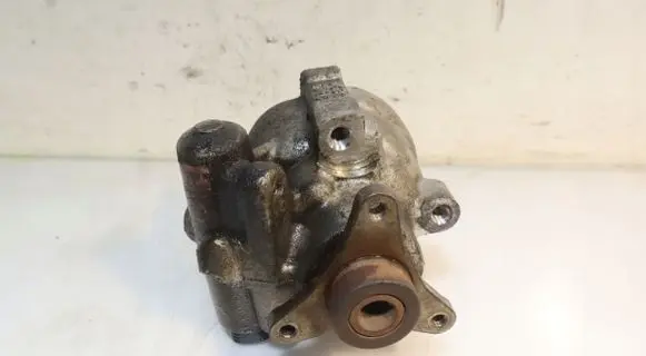 Renault Laguna III Power steering pump 26128104