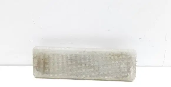 Rear seat light