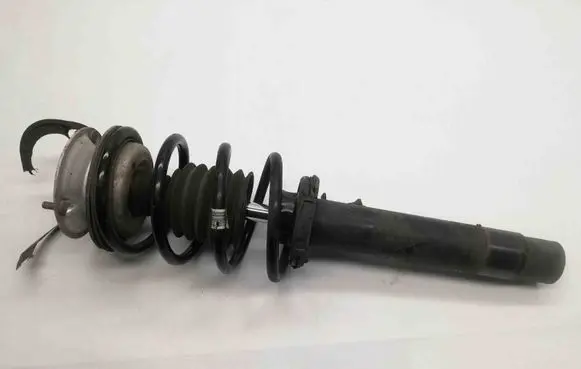 BMW X1 E84 Front shock absorber/damper 6789853