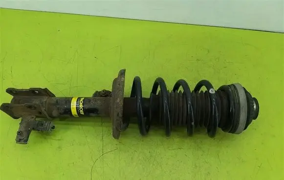 Opel Zafira B Front shock absorber with coil spring