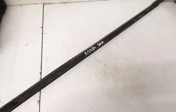 KIA Carens I Rear door glass trim molding