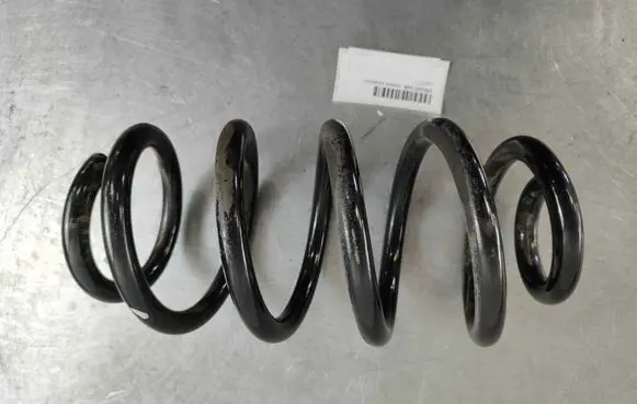Rear coil spring