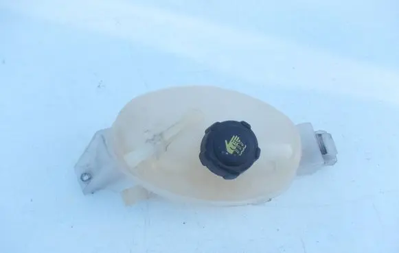 Renault Master III Coolant expansion tank/reservoir 217100015R