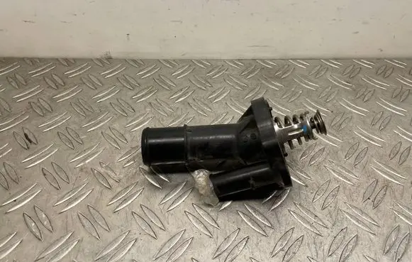 Thermostat/thermostat housing