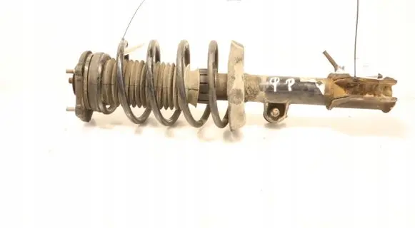 Fiat Doblo Front shock absorber with coil spring