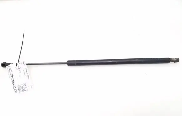 BMW X5 E53 Tailgate strut 8402405