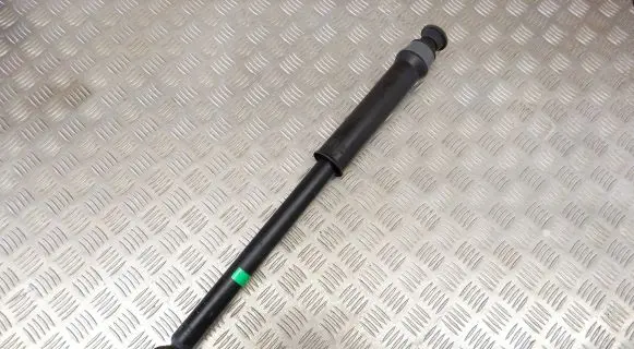 Nissan Juke II F16 Rear shock absorber/damper 562106PA0A