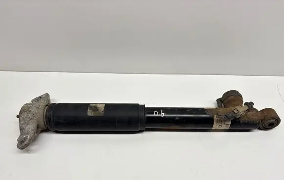 Opel Insignia A Rear shock absorber/damper 13319754 4424000054 314801619