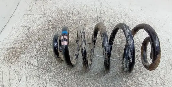 Audi A4 S4 B6 8E 8H Rear coil spring