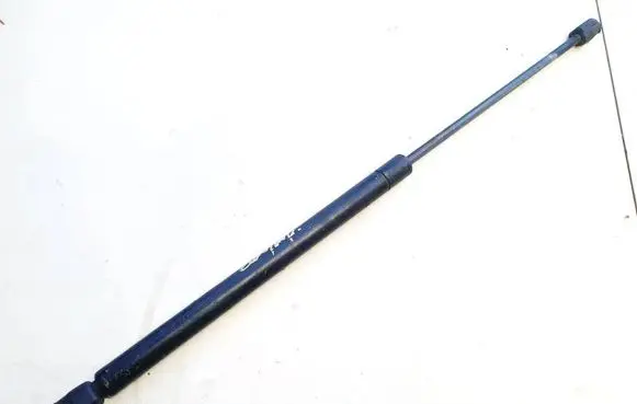 Tailgate/trunk strut/damper