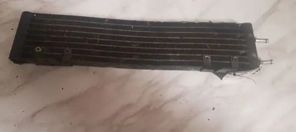 Mercedes-Benz ML W163 Engine oil radiator 