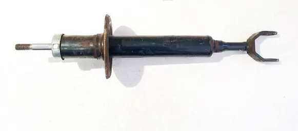 Volkswagen PASSAT B5.5 Front shock absorber/damper dsb037g