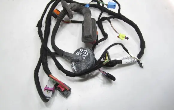 Front door wiring loom