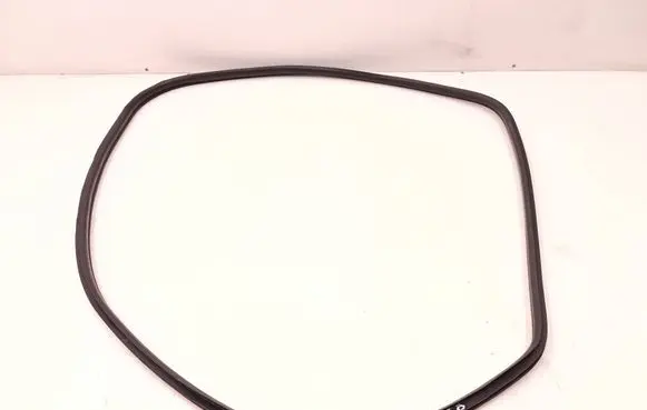 BMW 2 F46 Rear door rubber seal (on body) 7316818