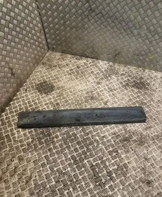 Land Rover Range Rover Sport L320 Front door trim (molding) DGP000211