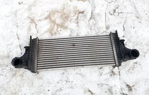 Mercedes-Benz R W251 Intercooler radiator a1645001900