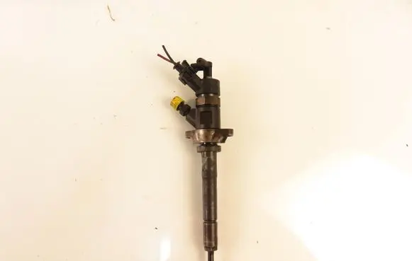 Ford Focus Fuel injector 0445110259