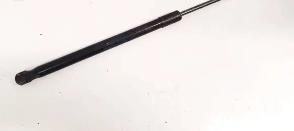 Opel Signum Tailgate/trunk strut/damper 