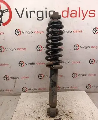 Opel Grandland X Rear shock absorber with coil spring 