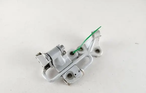 Peugeot RCZ Front door lower hinge 