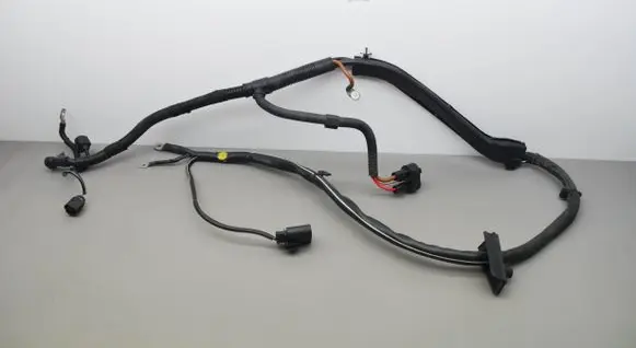 Engine installation wiring loom