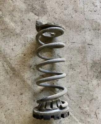 Rear coil spring