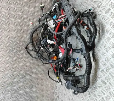 Tesla Model Y Other wiring loom 248905901A 148905502D