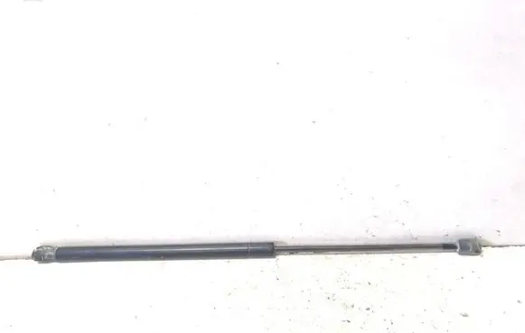 Ford Focus C-MAX Tailgate strut 3M51R406A10AB