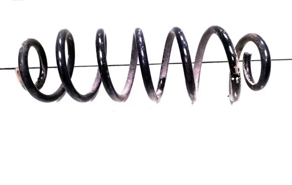 Rear coil spring