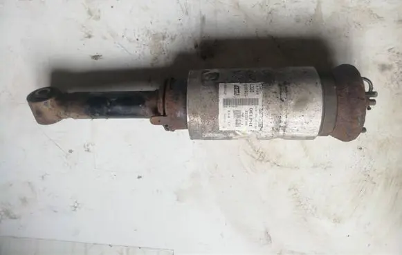 Land Rover Range Rover Sport L320 Air suspension front shock absorber 22238305
