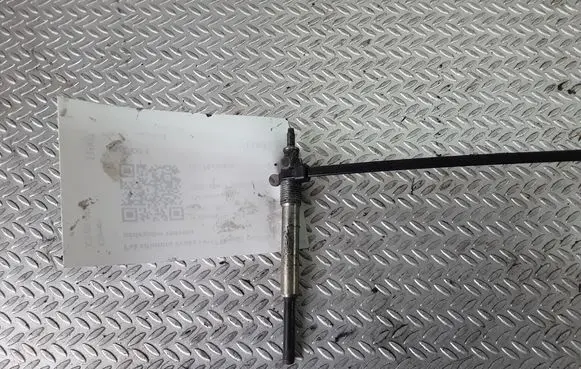 Citroen C5 Glow plug CH170