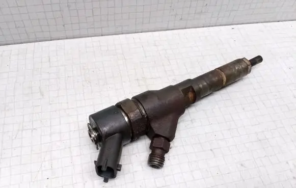 Citroen Xsara Picasso Fuel injector 9641742880
