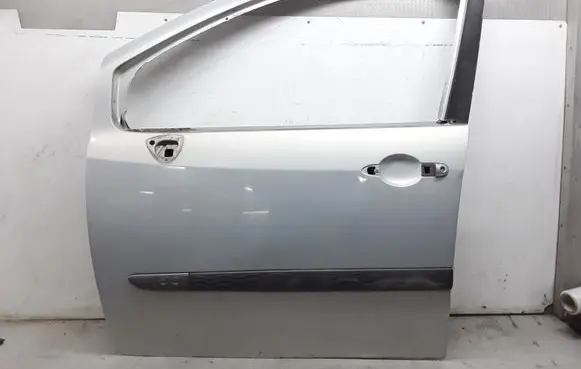 Renault Modus Front door