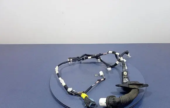 Other wiring loom