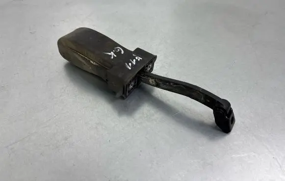 BMW 5 F10 F11 Rear door check strap stopper 7182019
